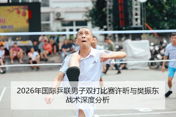 2026年国际乒联男子双打比赛许昕与樊振东战术深度分析
