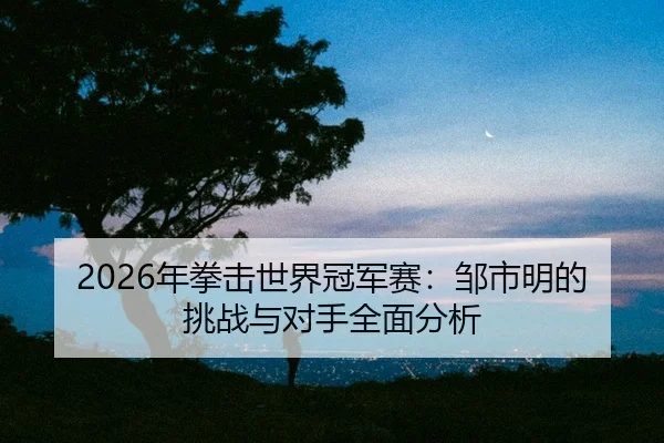 nian-quan-ji-shi-jie-guan-jun-sai-zou-shi-ming-de-tiao-zhan-yu-dui-shou-quan-mian-fen-xi-2-790.jpg
