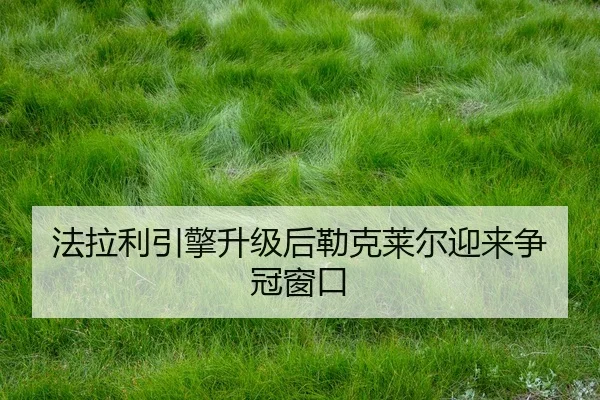fa-la-li-yin-qing-sheng-ji-hou-lei-ke-lai-er-ying-lai-zheng-guan-chuang-kou-2-205.jpg