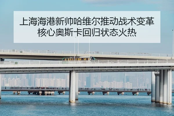 shang-hai-hai-gang-xin-shuai-ha-wei-er-tui-dong-zhan-shu-bian-ge-he-xin-ao-si-ka-hui-gui-zhuang-tai-huo-re-2-560.jpg