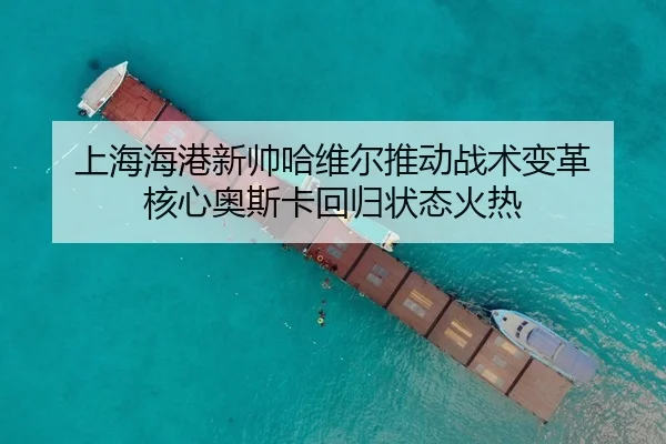 shang-hai-hai-gang-xin-shuai-ha-wei-er-tui-dong-zhan-shu-bian-ge-he-xin-ao-si-ka-hui-gui-zhuang-tai-huo-re-3-411.jpg