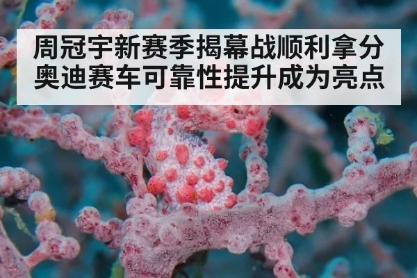 周冠宇新赛季揭幕战顺利拿分奥迪赛车可靠性提升成为亮点